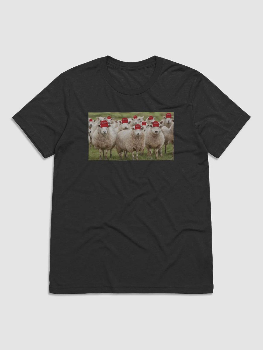 A Trump Rally! product image (1)