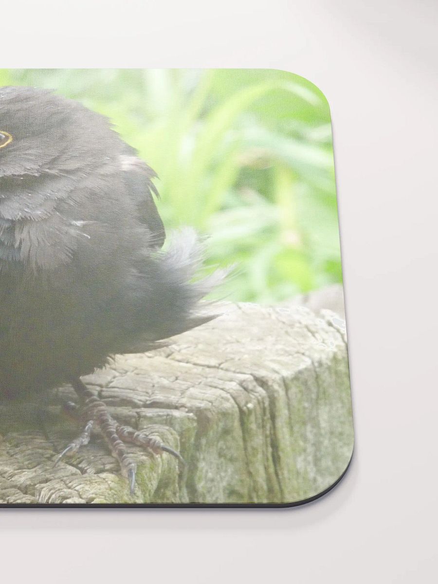 Classic Mouse Pad - The common blackbird #2 product image (5)