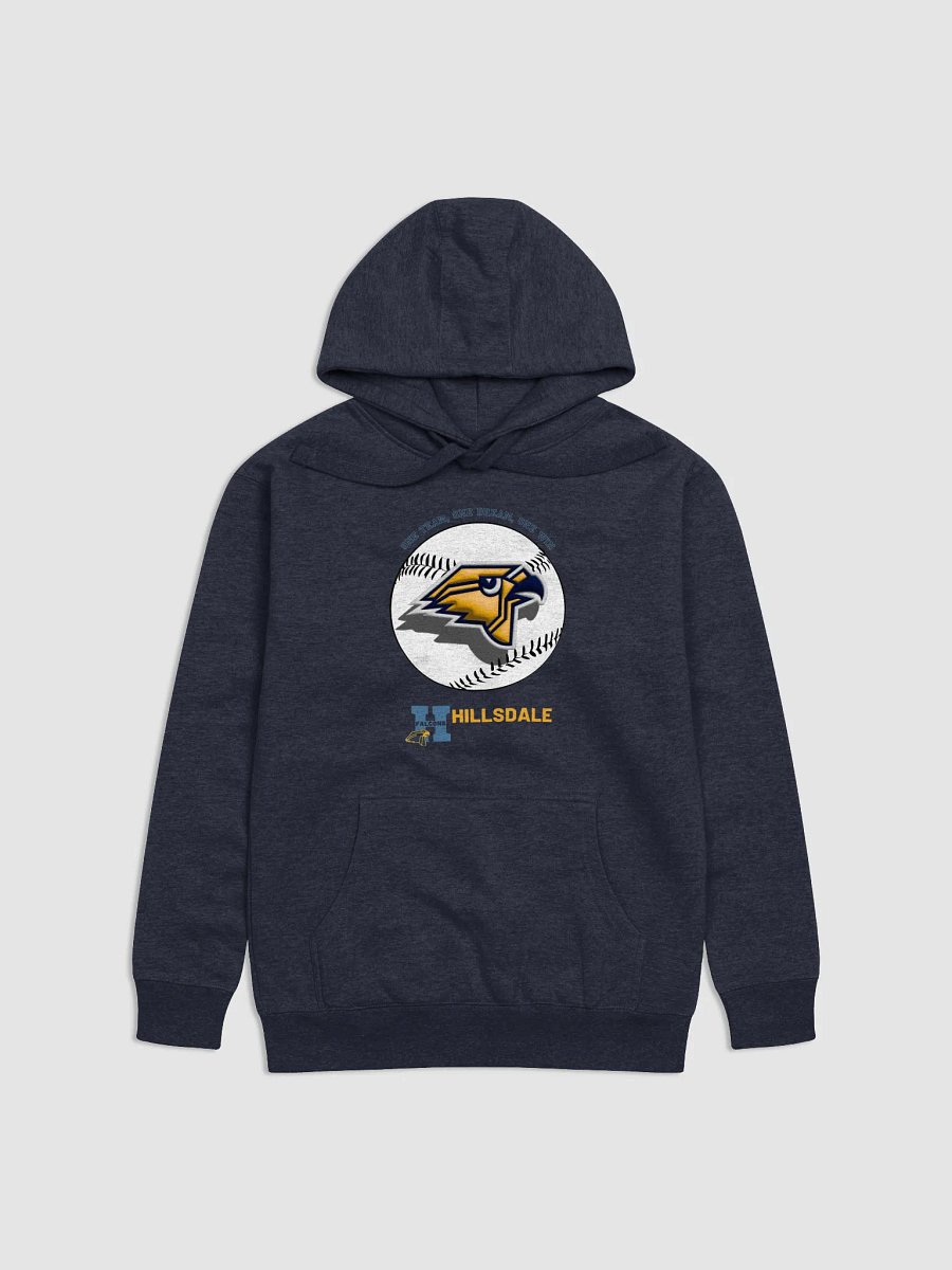 One Team, One Dream, One Win! Hillsdale Hoodie product image (1)