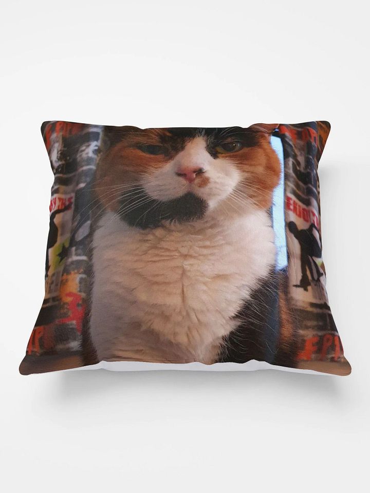 Rosie Staring Contest Pillow product image (1)