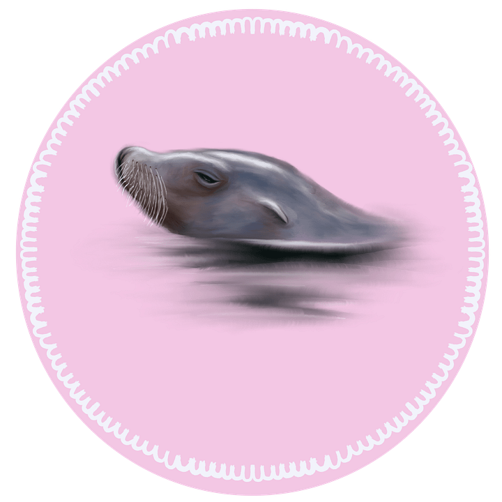 Seal Sticker product image (1)