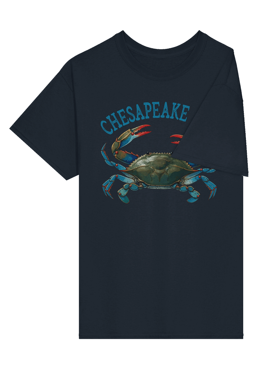 Chesapeake Bay Vintage Tee product image (4)