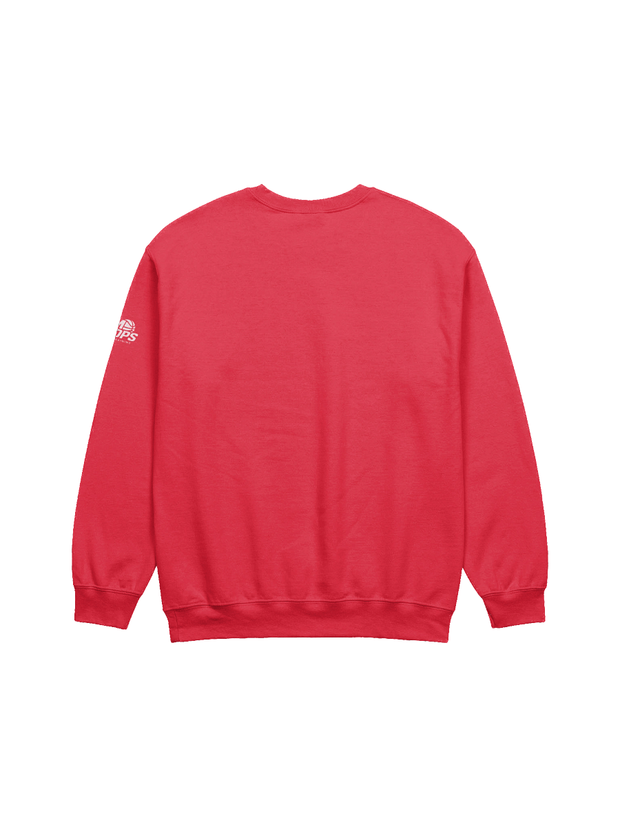 REPS 2 RESULTS CREWNECK product image (3)
