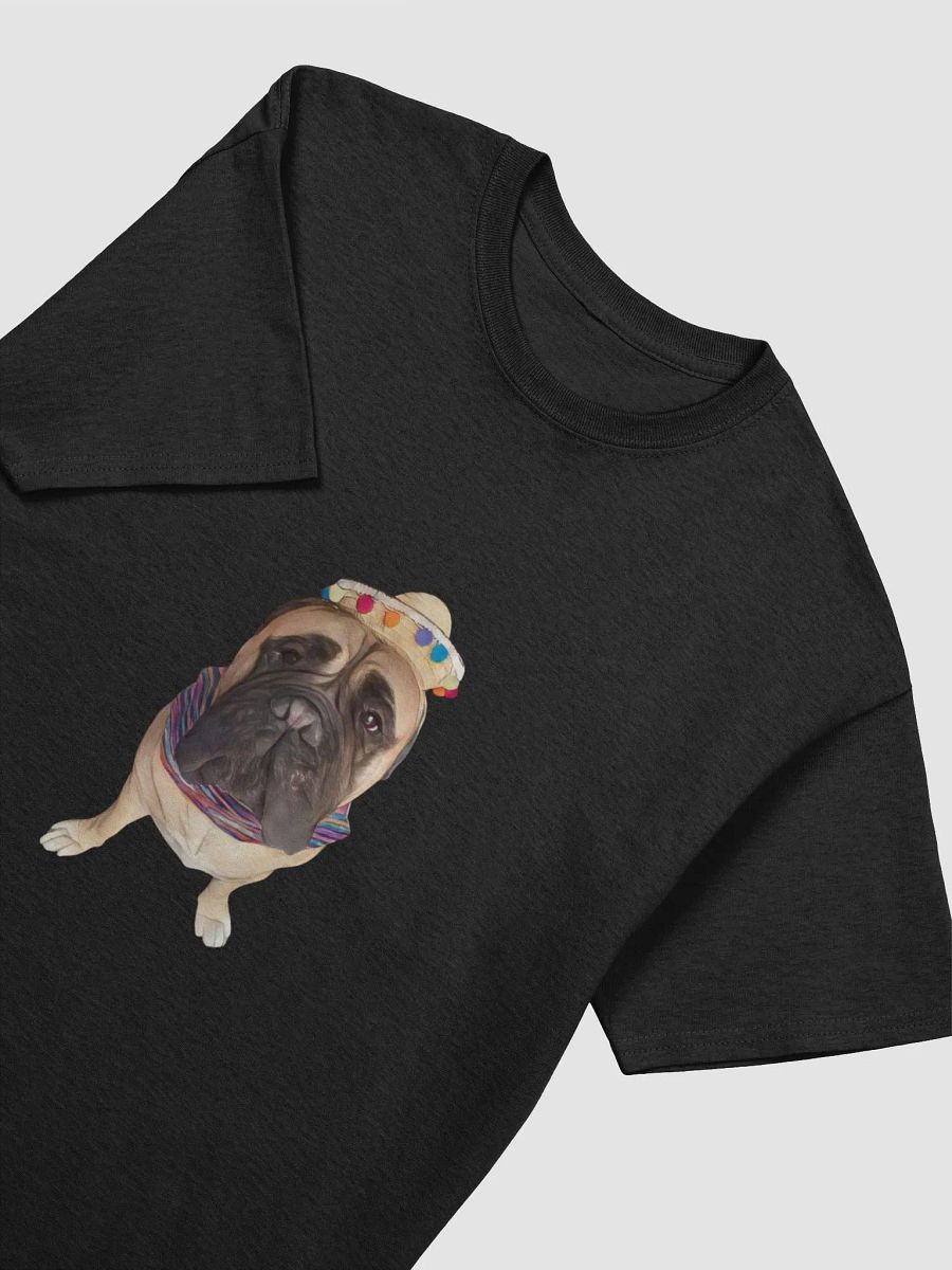 Cinco De Meecho Shirt product image (17)