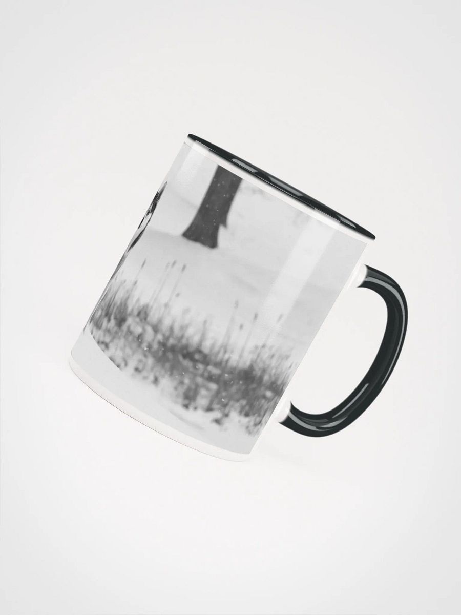 Cute Klee Kai Puppy - Black & White product image (6)
