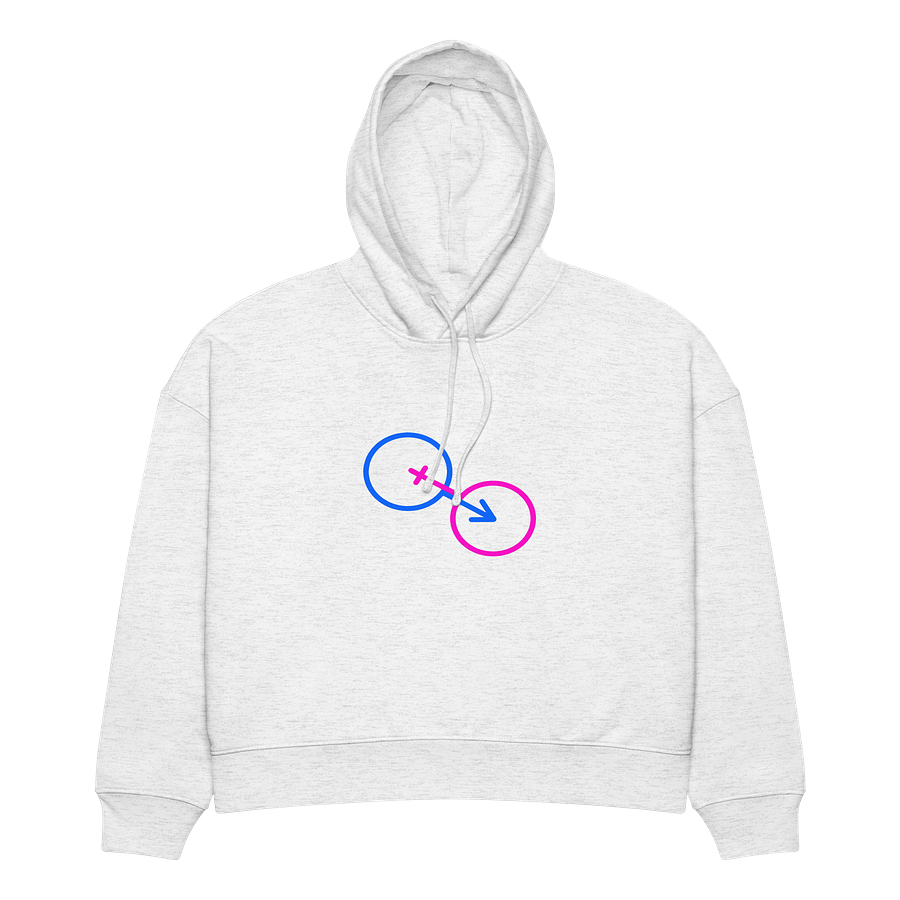 Traditional Normal Gender Roles Organic Hoodie product image (3)