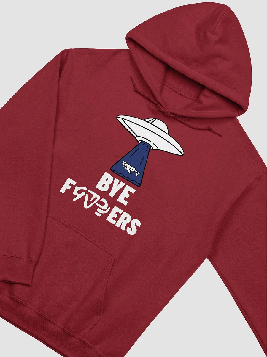 Bye F&$#ers classic hoodie product image (26)