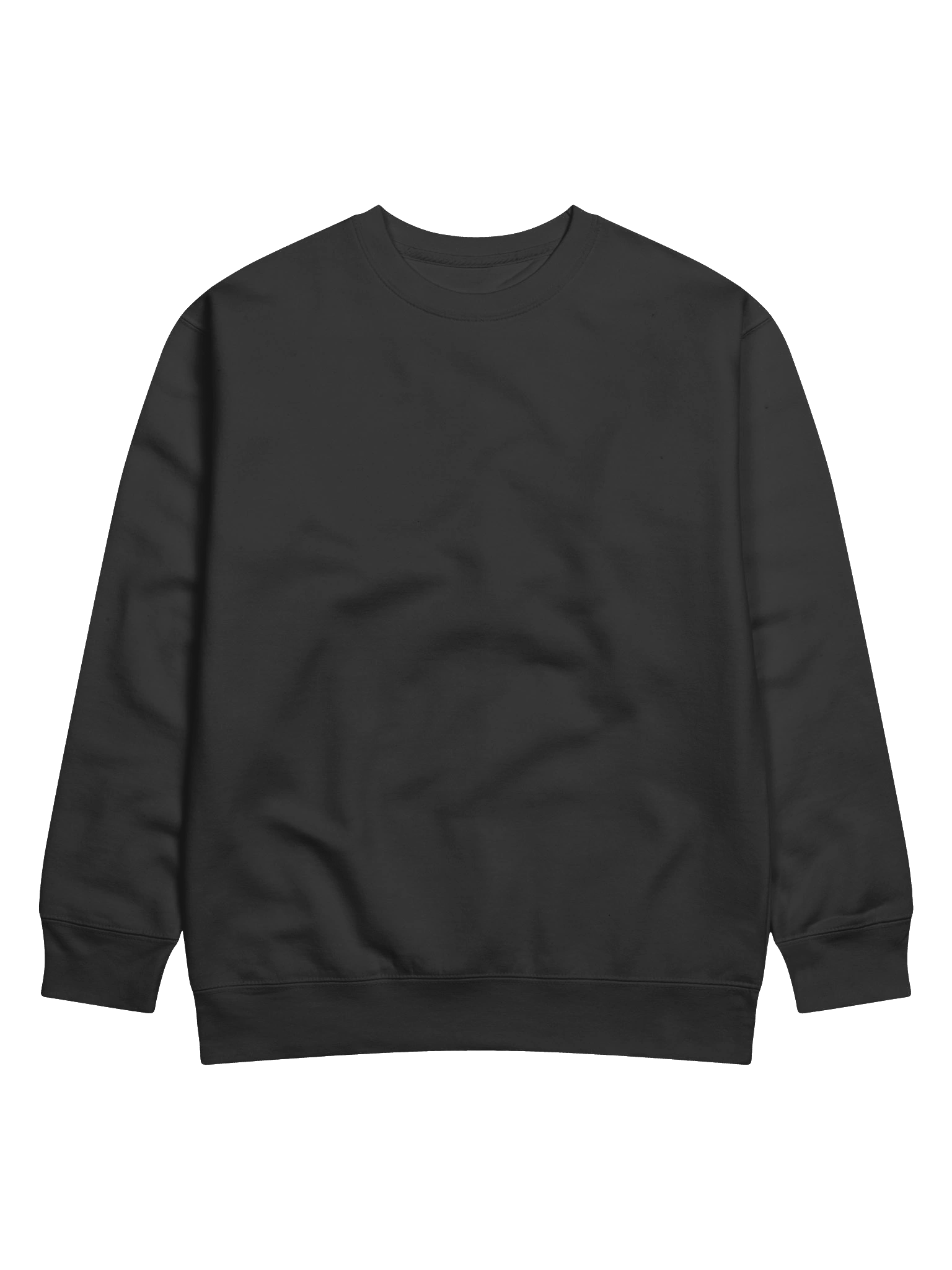 The Corporation Standard-Issue Sweatshirt product image (1)