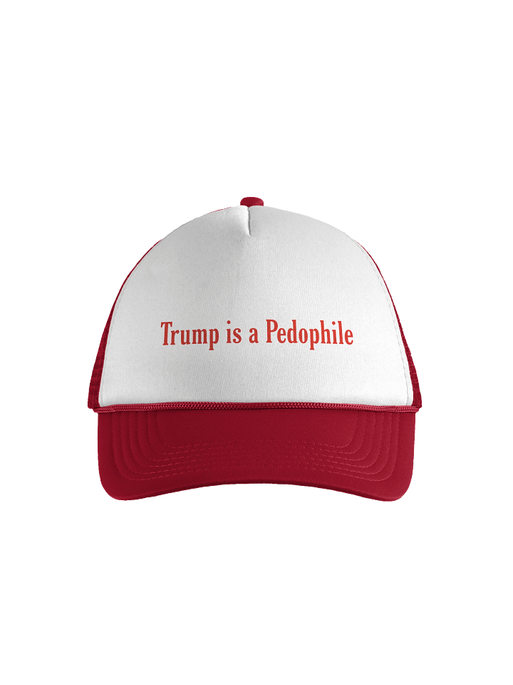 Trump is a Pedo Trucker Hat product image (1)
