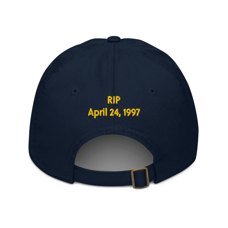The Lanche | Dad Hat product image (3)