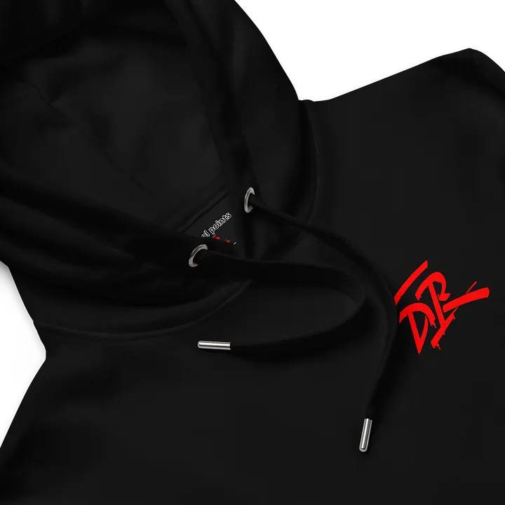D_Rich Hoodie product image (2)