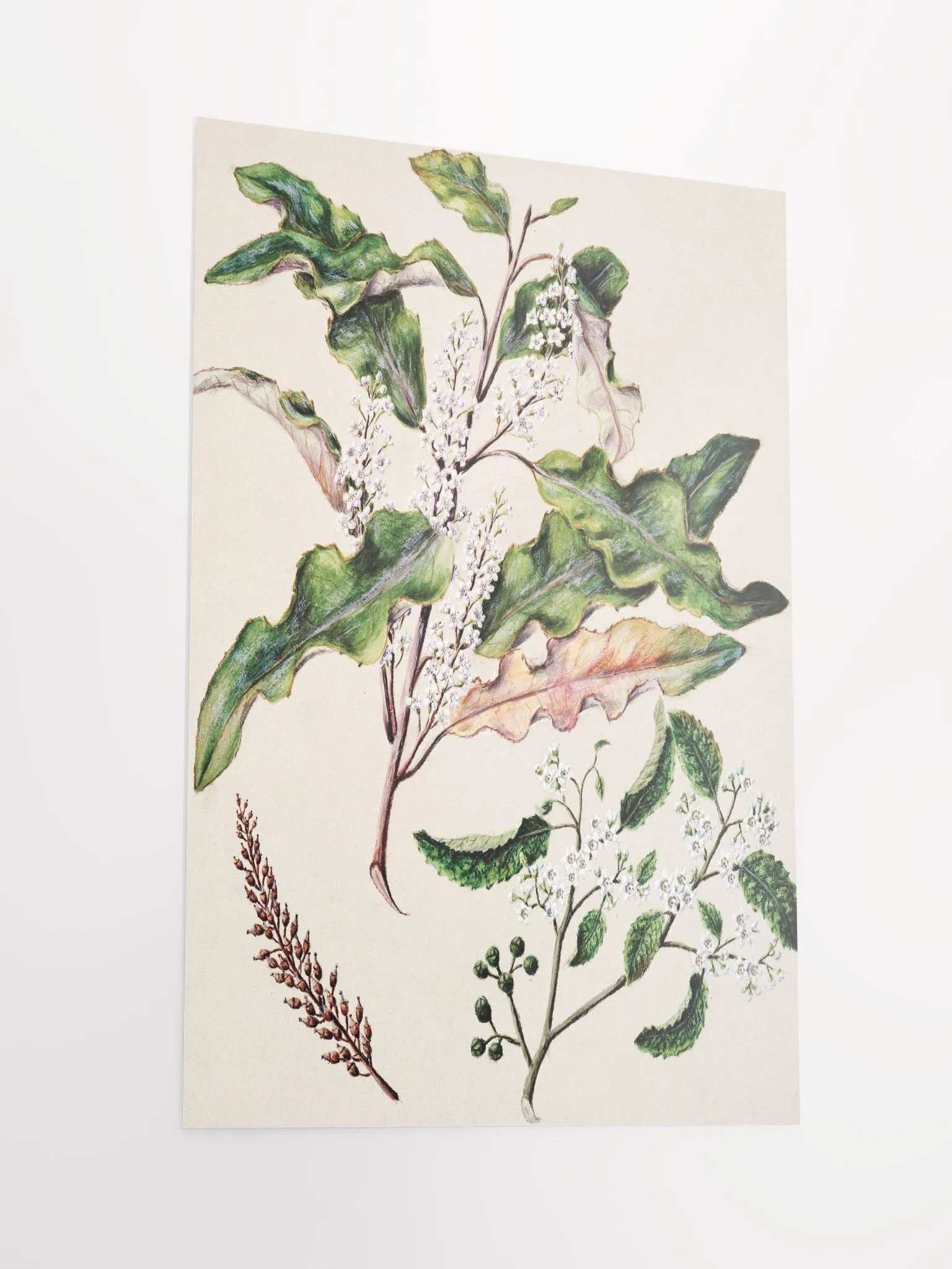 Flowers on Poster product image (4)