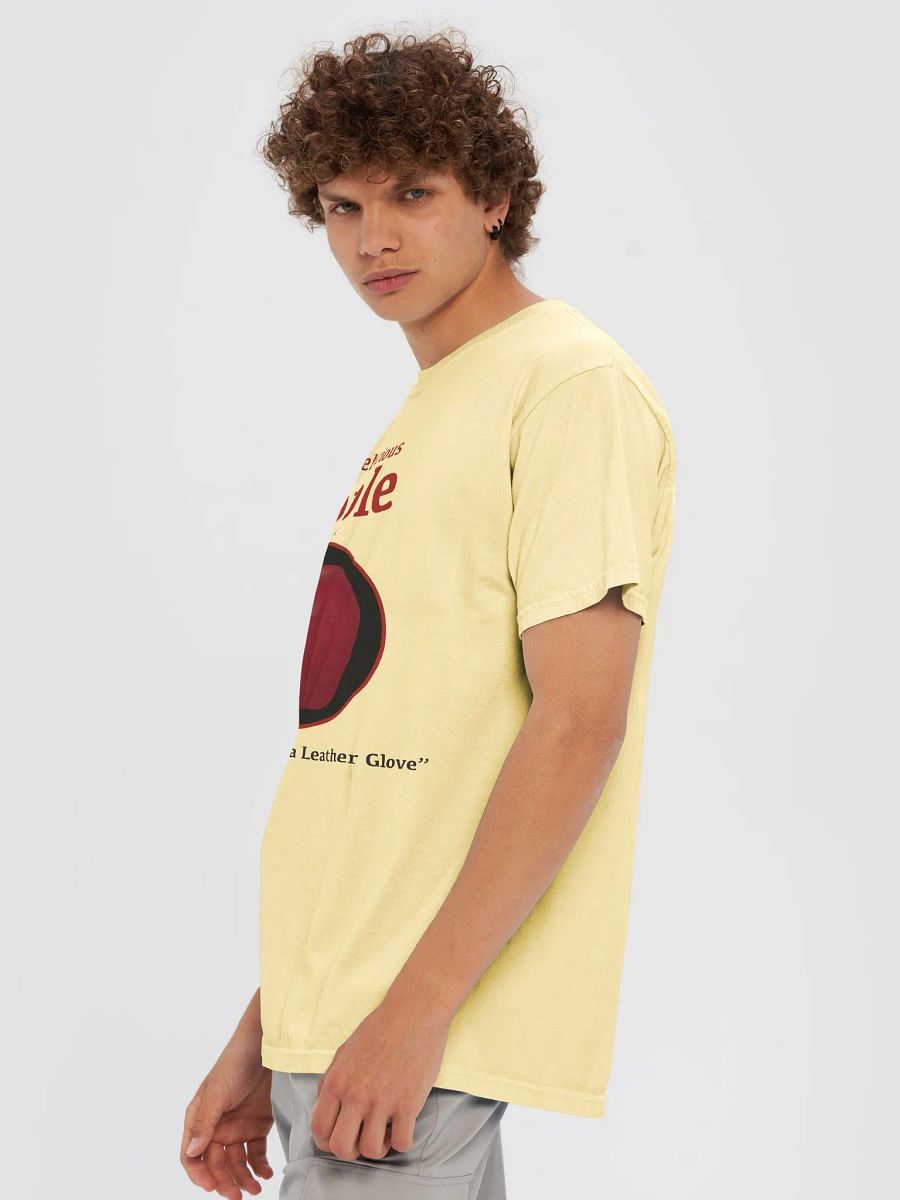 APPLE RANKINGS: RED DELICIOUS APPLE T-SHIRT (Regular Fit) product image (46)