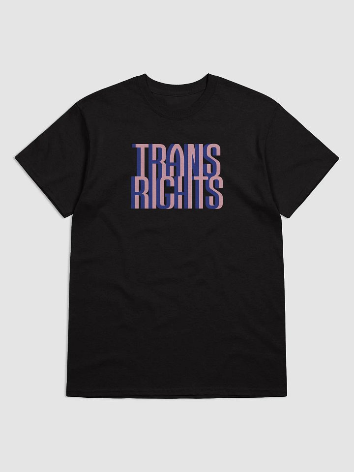 Trans Rights T-shirt product image (1)