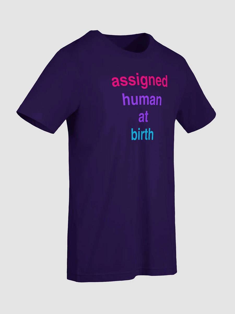 assigned human at birth androgyne t-shirt product image (7)