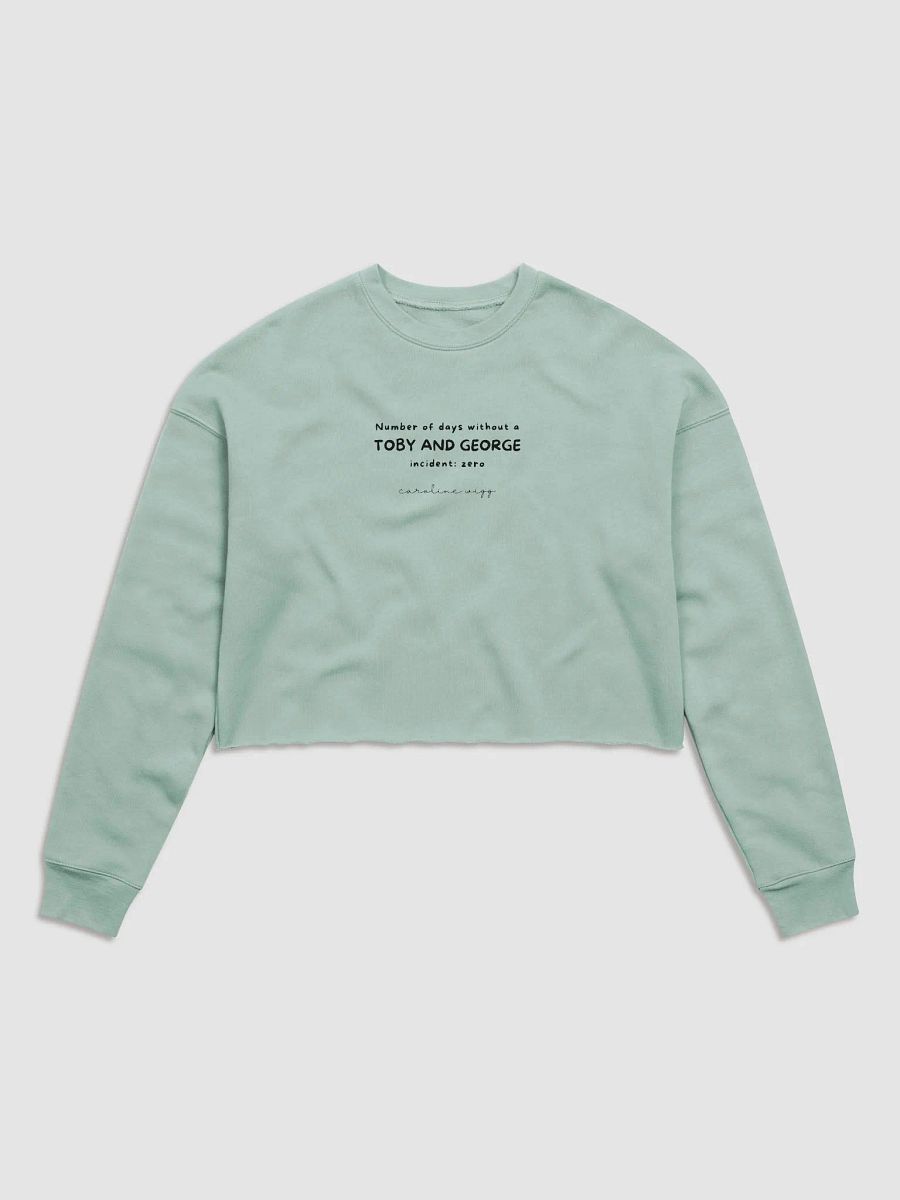 Toby and George Incident Crop Sweatshirt - Light Colours product image (1)