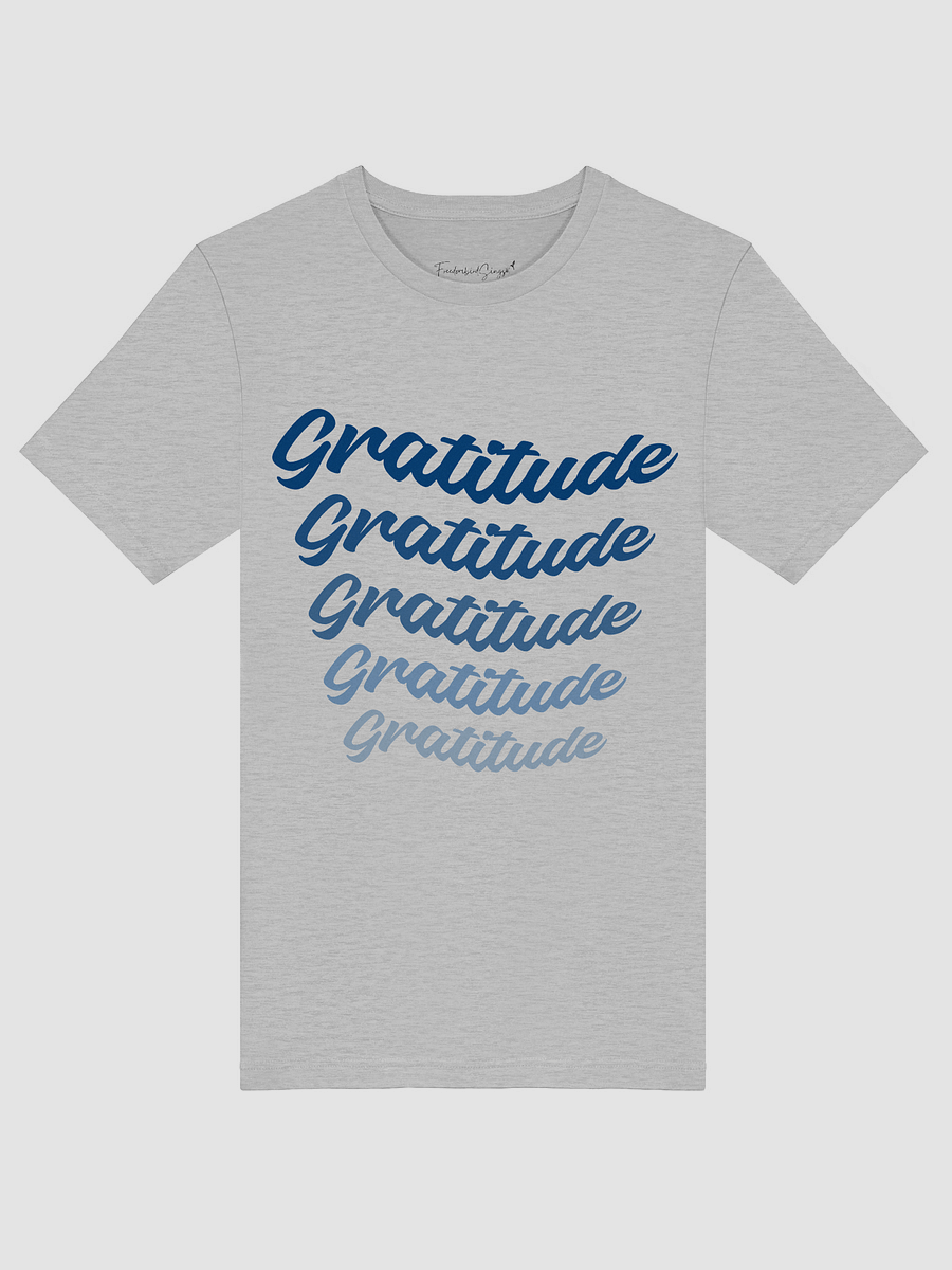 Gratitude Banner Tee product image (3)