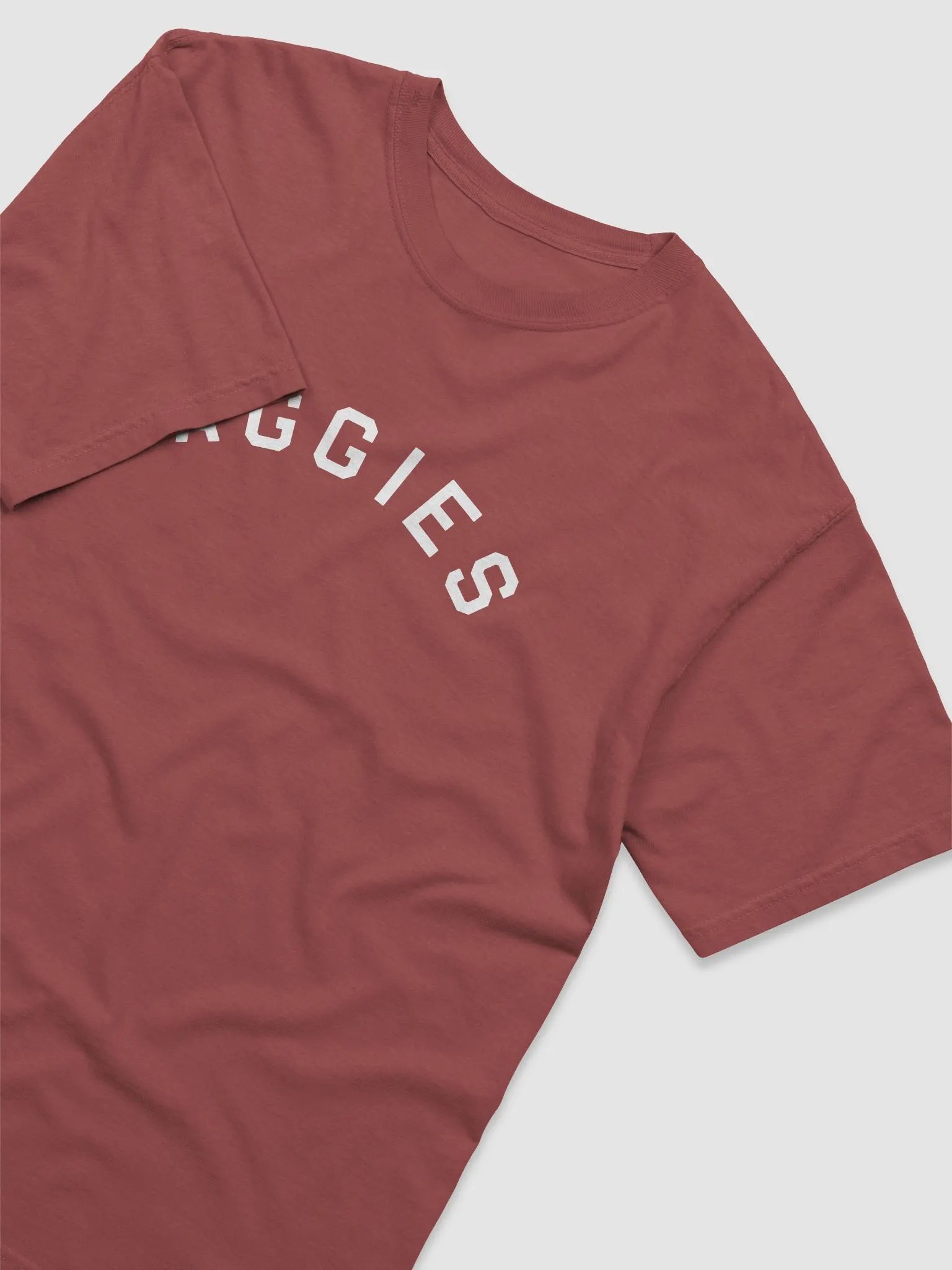 Aggies T-Shirt on Brick product image (3)