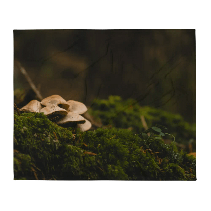 Cozy Mushroom product image (2)