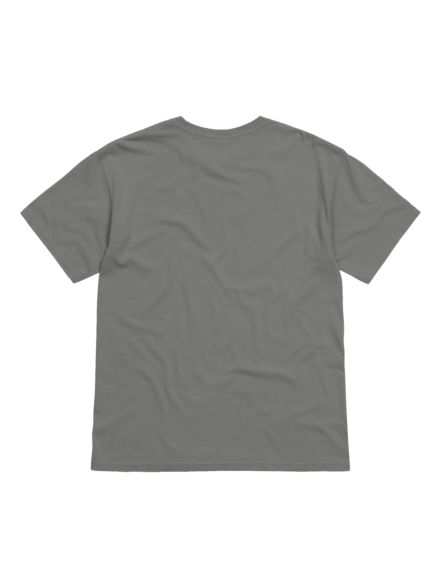 Squiiji University Embroidered Tee product image (19)