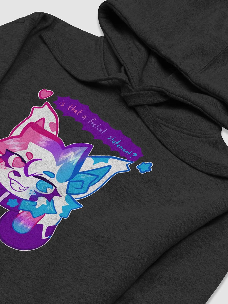is that a factual statement? hoodie product image (31)