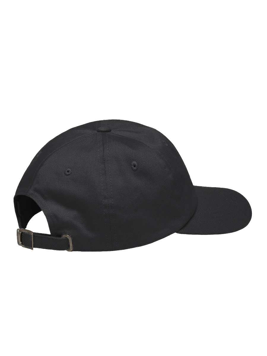 Embroidered Wave Rider Dad Hat (Citrus) product image (4)