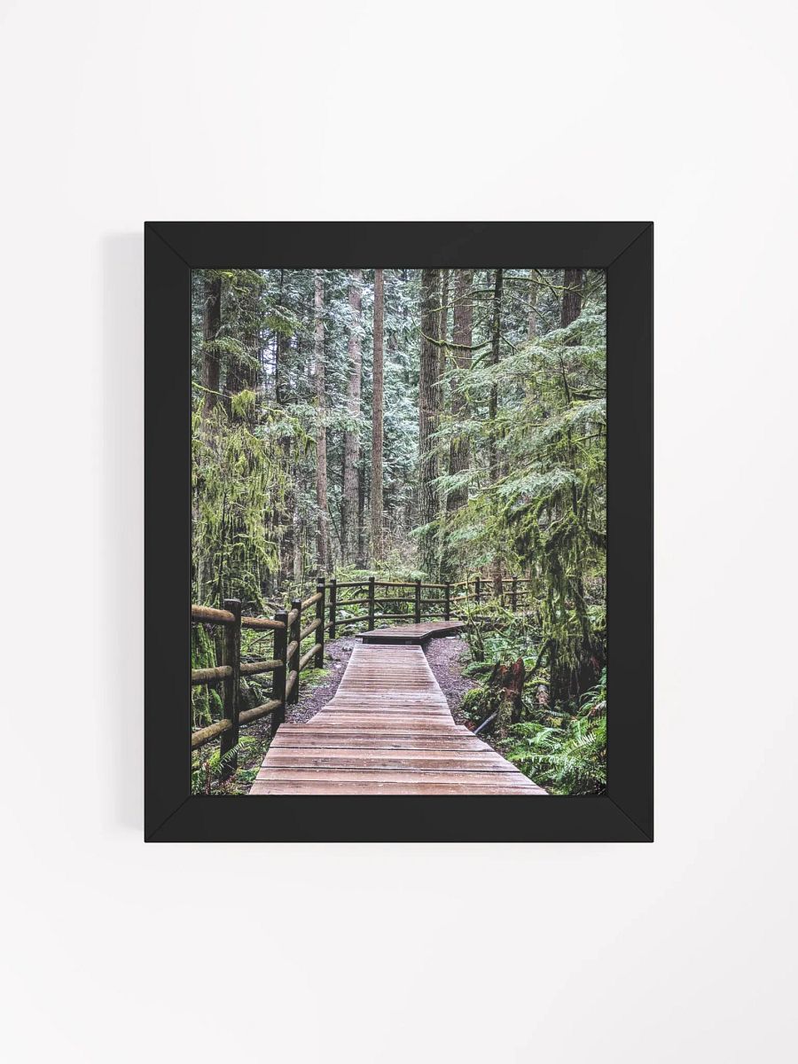 Lynn Canyon Park product image (33)