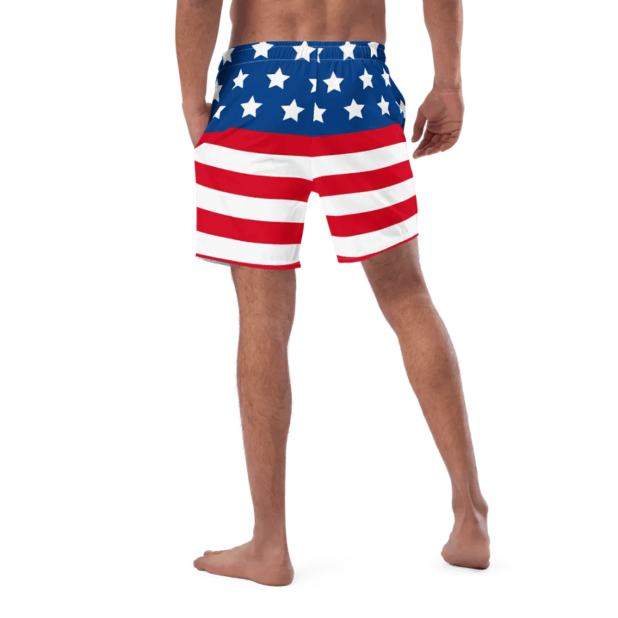 ADG USA Flag Swim Trunks product image (4)