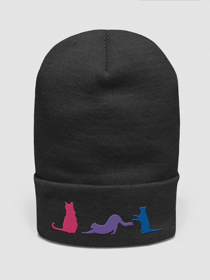 Bisexual Pride Cats Beanie product image (9)