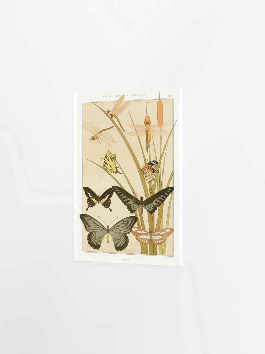 Butterflies - Papillons product image (6)
