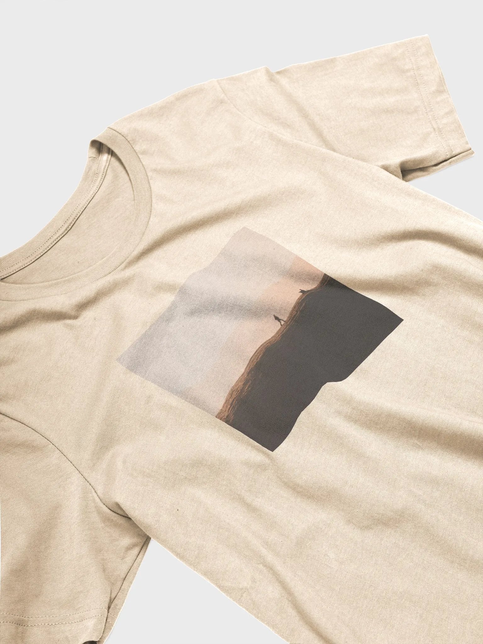 tgtcb album art tee product image (3)