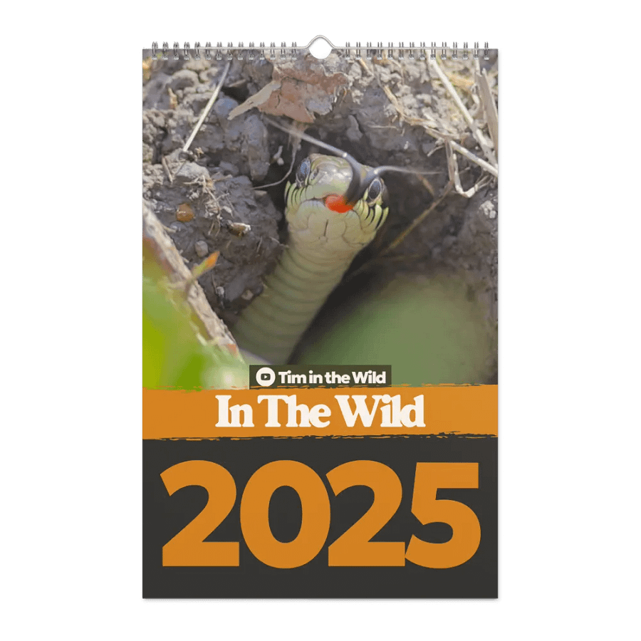 2025 In the Wild Wall Calendar product image (1)