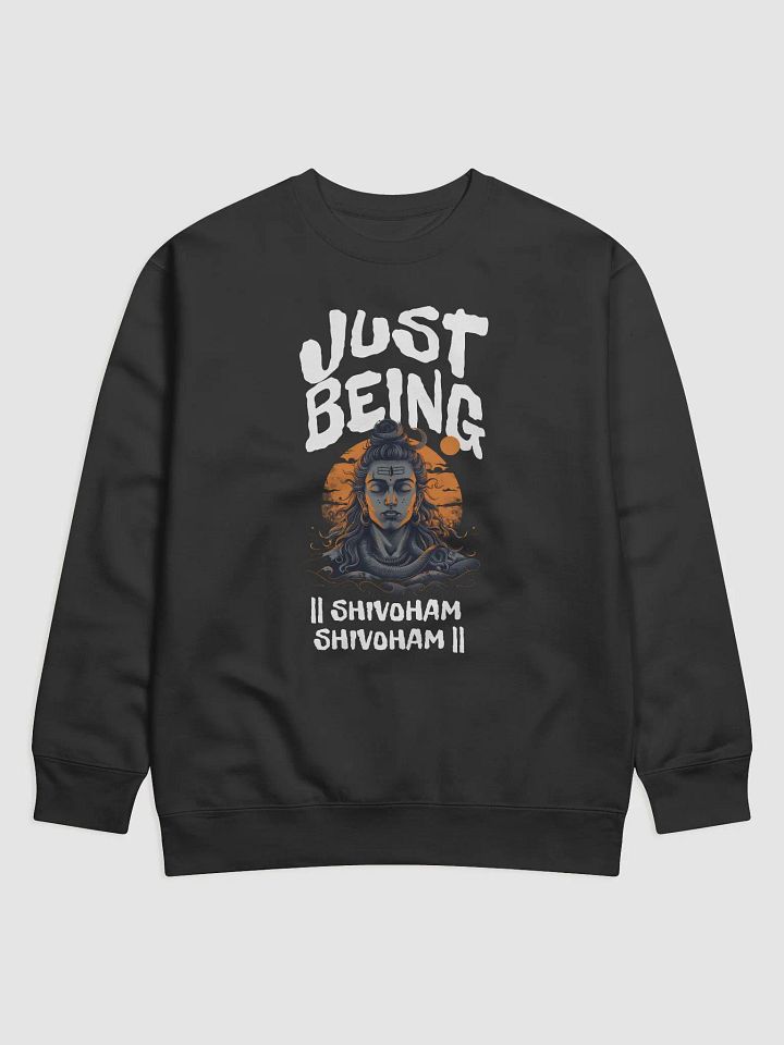 Shivoham Shivoham Sweatshirt product image (1)