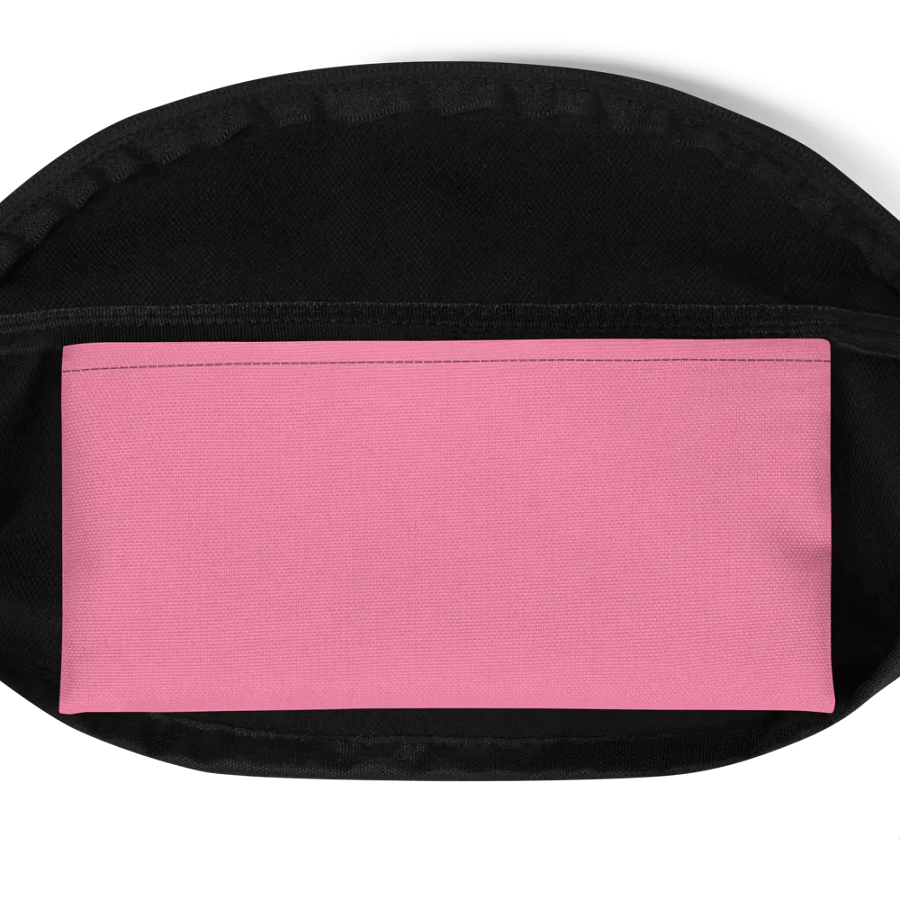 BIG DOG FANNY PACK product image (4)