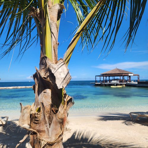 Home safe from our INCREDIBLE vacation! 🥰 We'll be back, Jamaica! ❤️🏖

#vacation #jamaica #beach