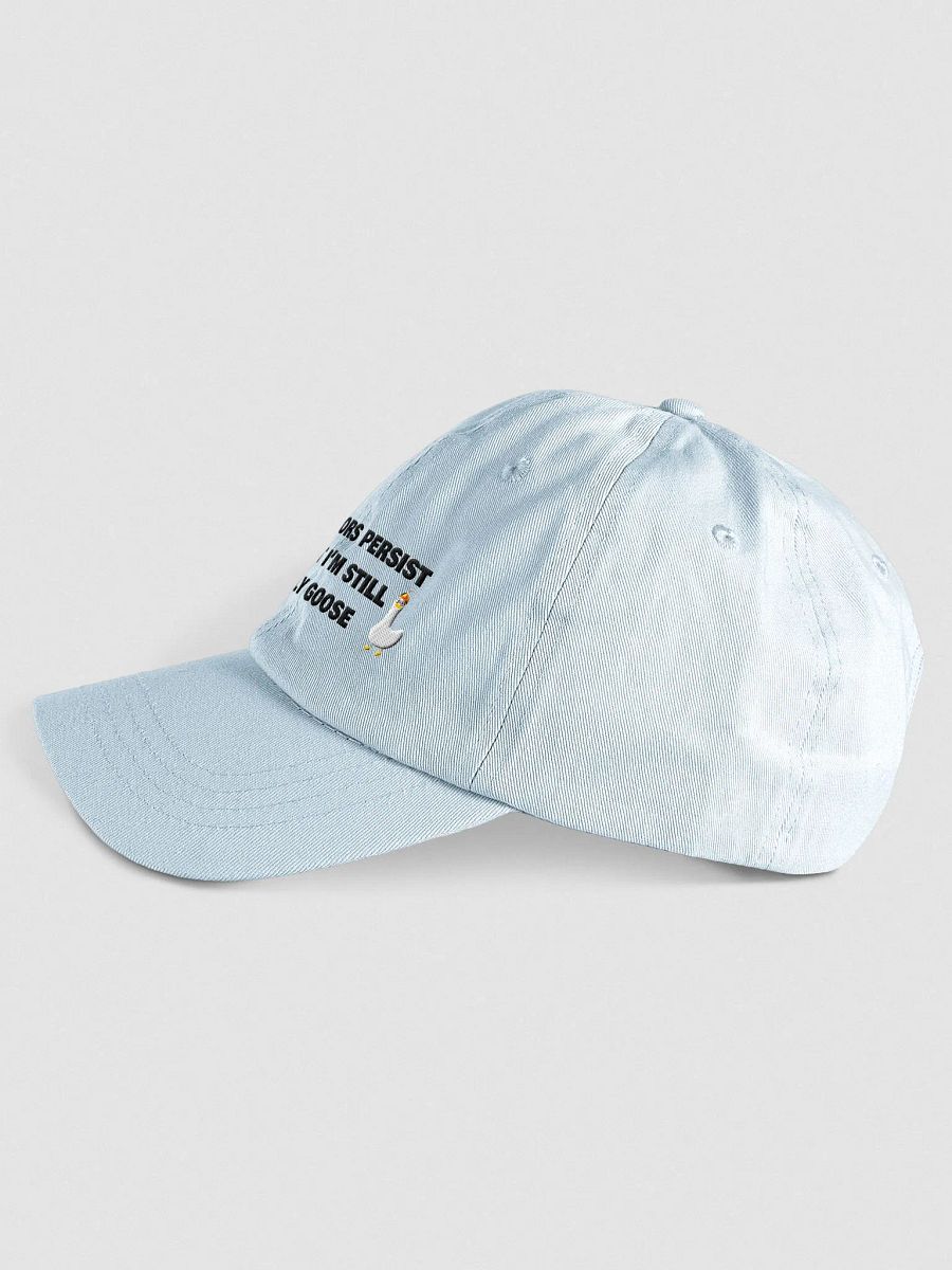 Silly Goose Embroidered Hat product image (3)