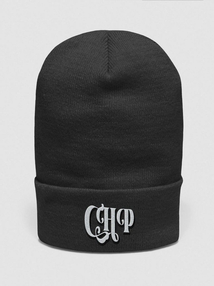 chapterplus beanie product image (1)
