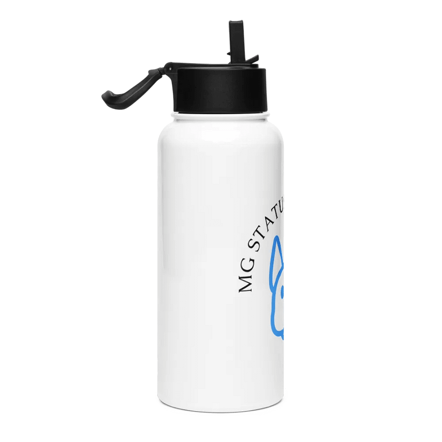 Stainless Steel 32 oz water Bottle product image (4)
