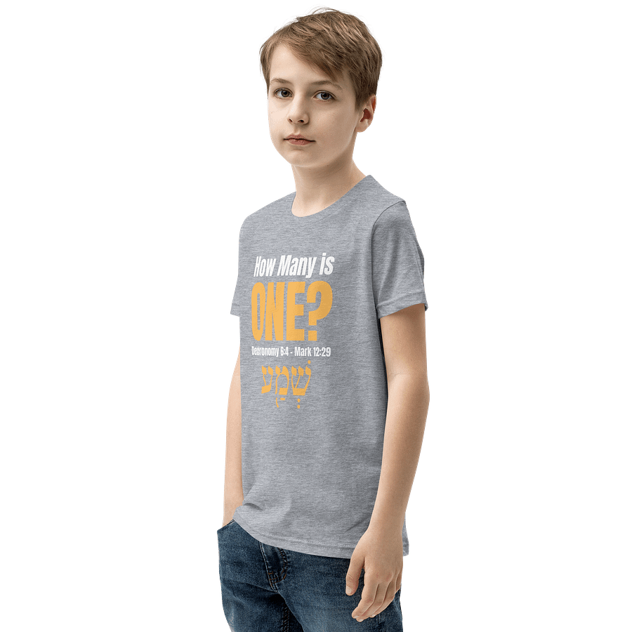 How Many is One Youth T-Shirt product image (3)