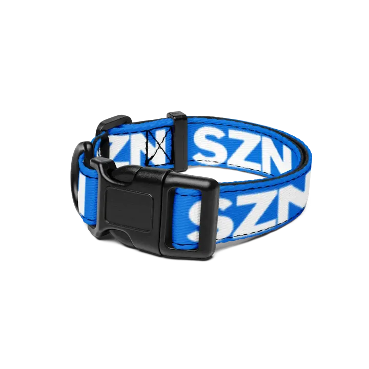 Dog Collar product image (1)