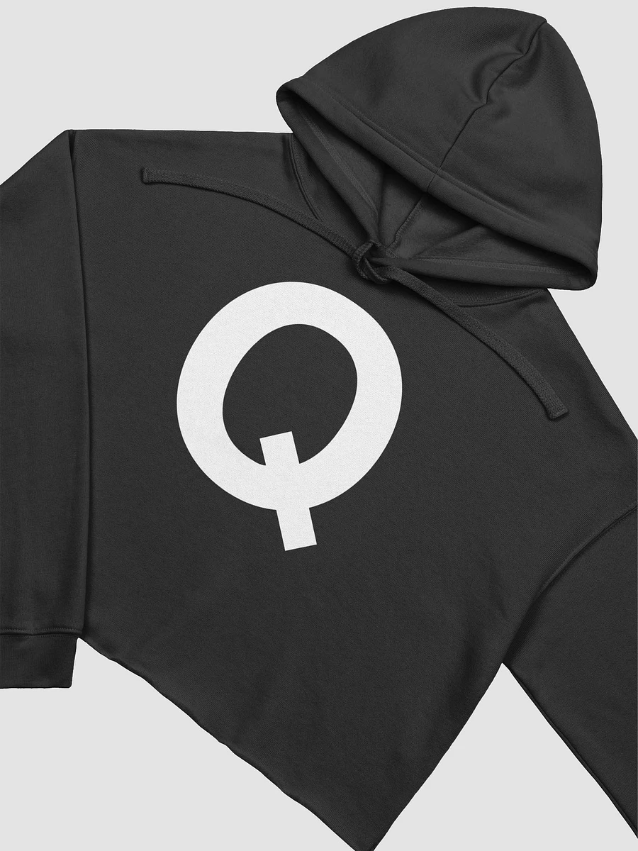 Q BOARD HOODY CROP product image (3)