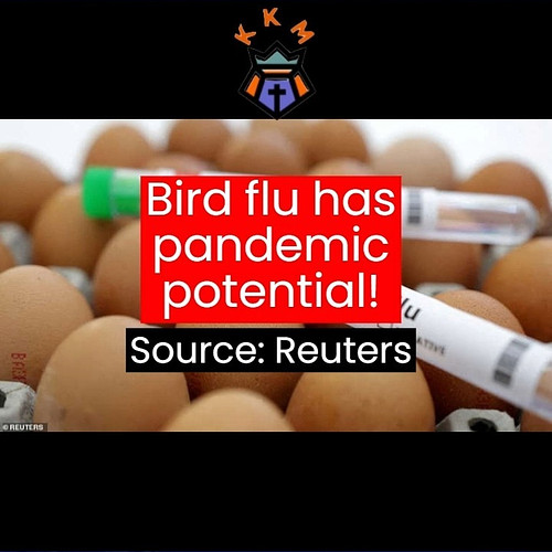 Will the H5N1 jump from animals to humans and be the next deadly pandemic? 

Source: https://tinyurl.com/4393bcud

#H5N1 #pan...