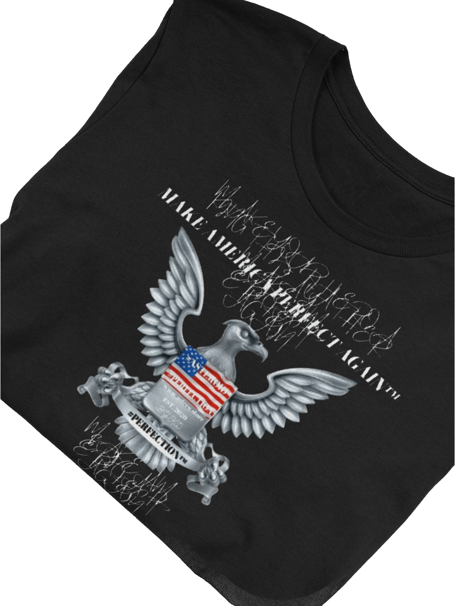 MAPA-MAKE AMERICA PERFECT AGAIN T-SHIRT product image (51)