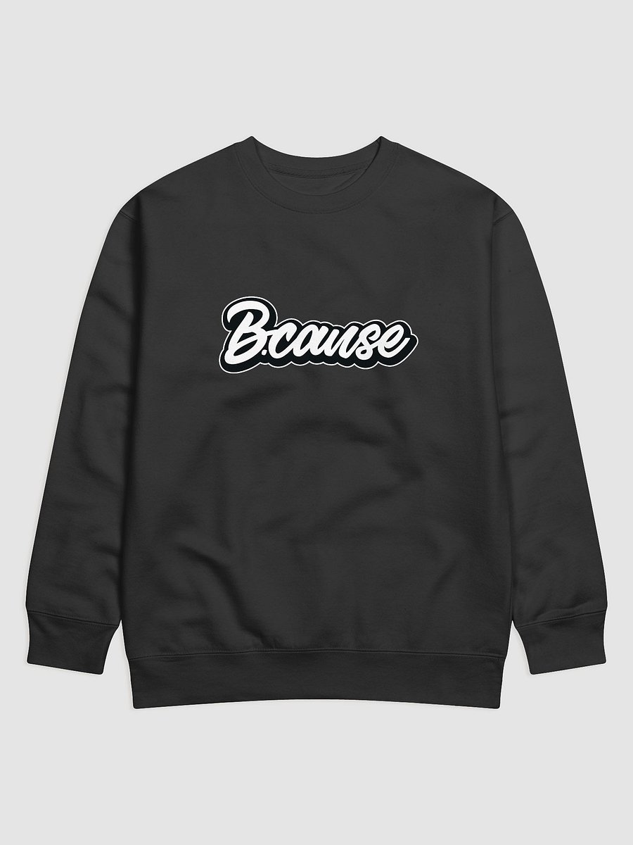 B.Cause script pullover product image (1)