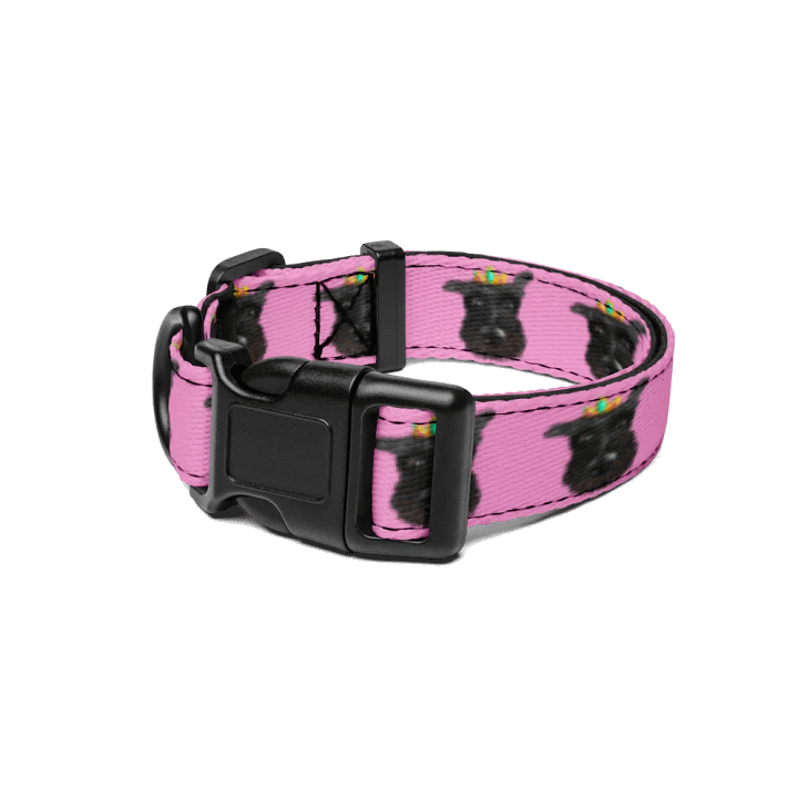 Queen Kyia Pet Collar product image (1)