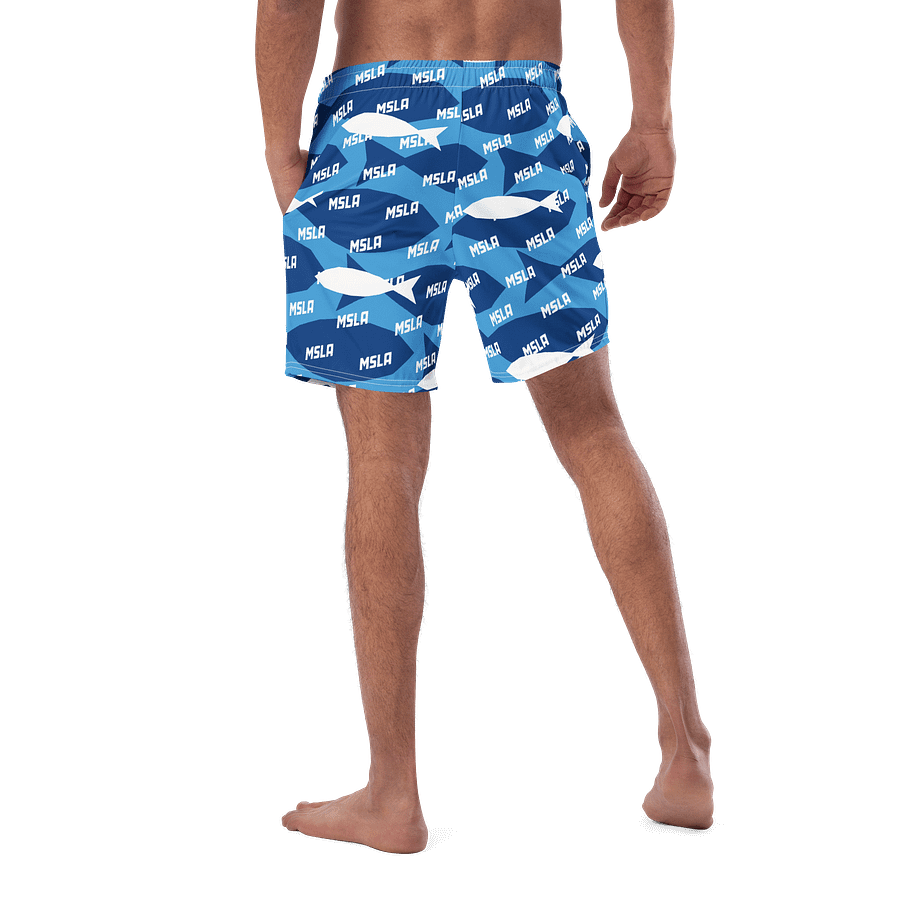 The Summer - Swim Trunks product image (2)