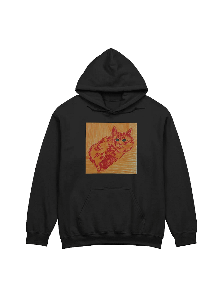 Saffron Cats Hoodie product image (1)