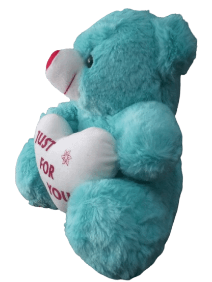 Taddy Bear product image (3)