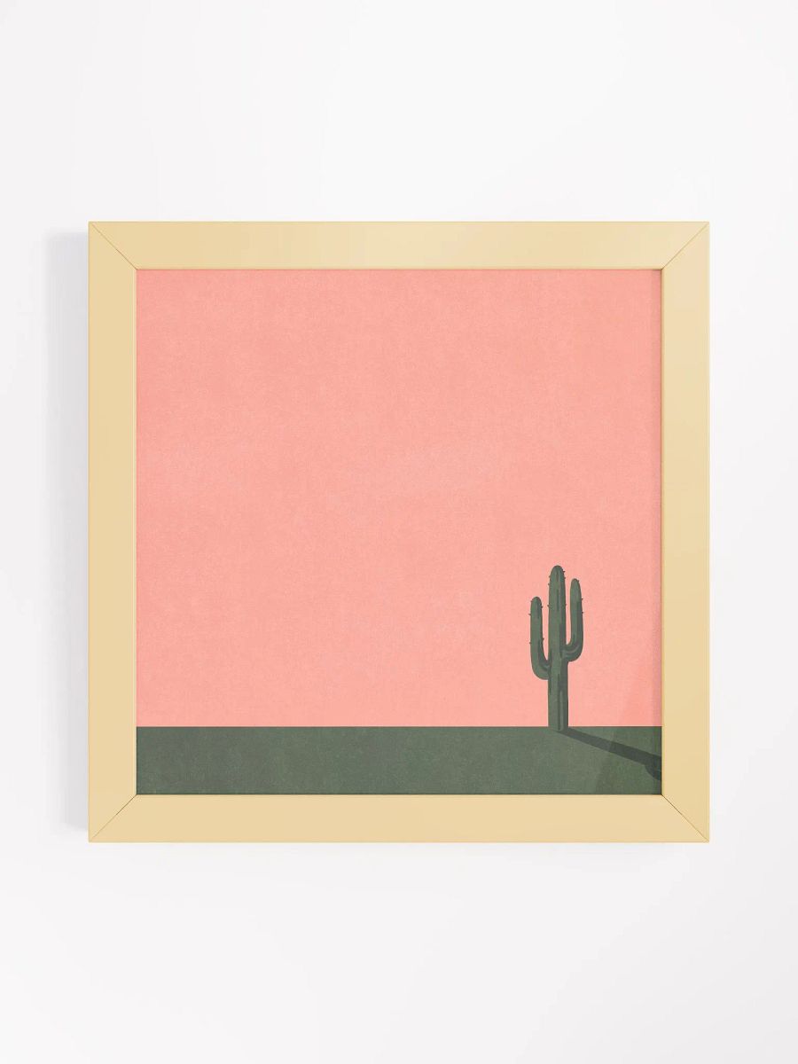 Cactus product image (1)