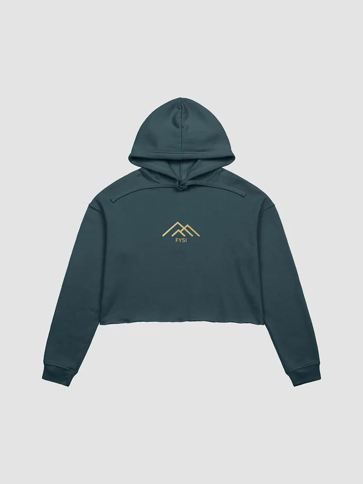 Graphic logo fleece crop hoodie product image (1)